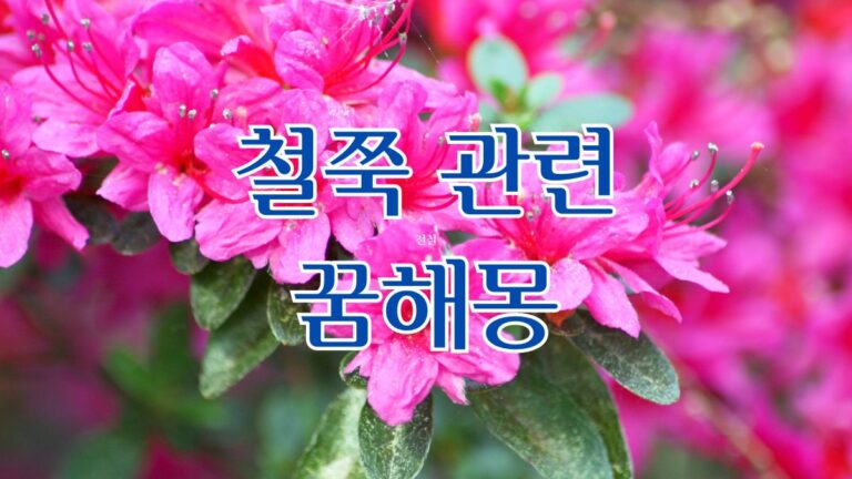 철쭉 관련 꿈해몽