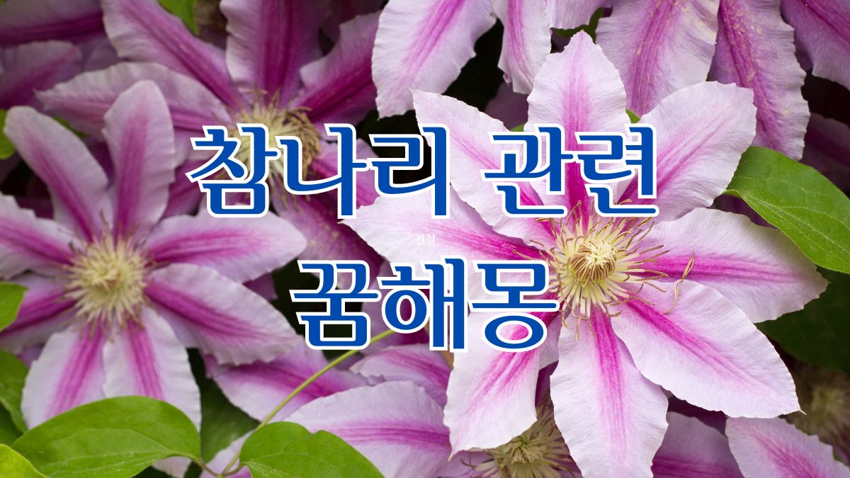 참나리 관련 꿈해몽