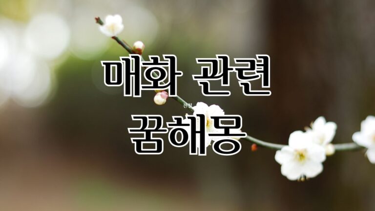 매화 관련 꿈해몽