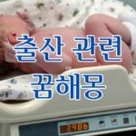 출산 관련 꿈해몽