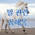 말 관련 꿈해몽