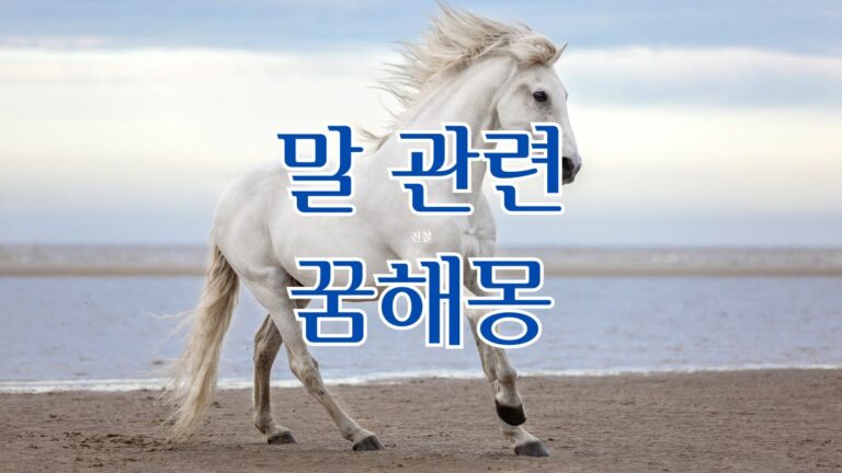 말 관련 꿈해몽