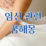 임신 관련 꿈해몽