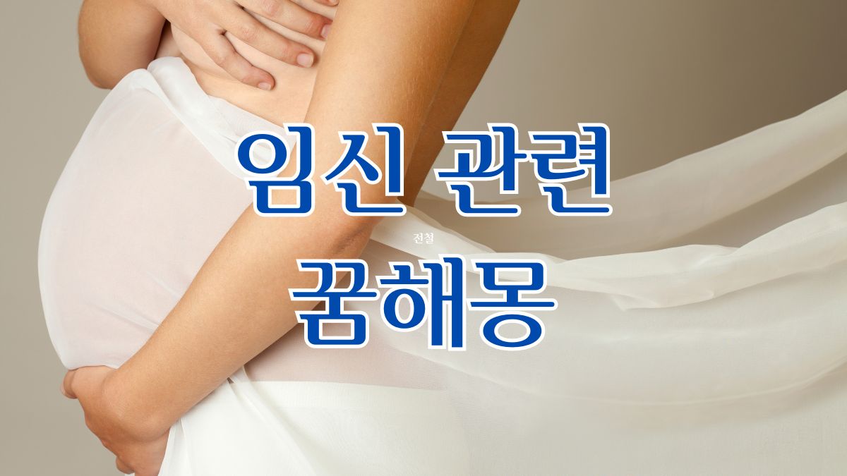 임신 관련 꿈해몽