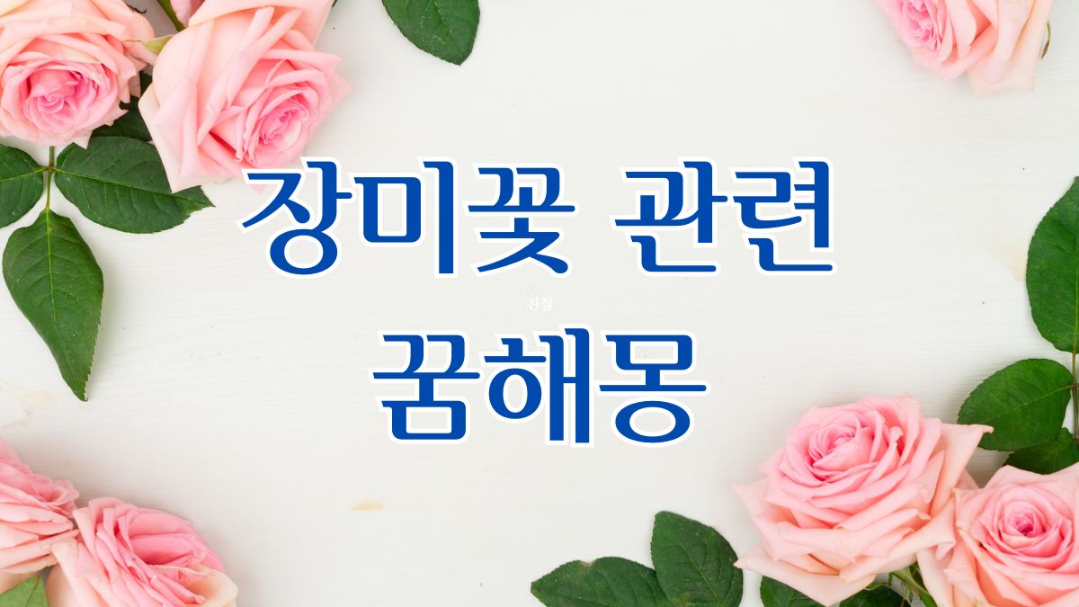 장미꽃 관련 꿈해몽