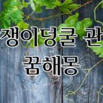 담쟁이덩쿨 관련 꿈해몽