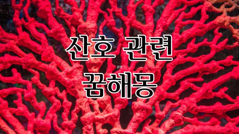 산호 관련 꿈해몽