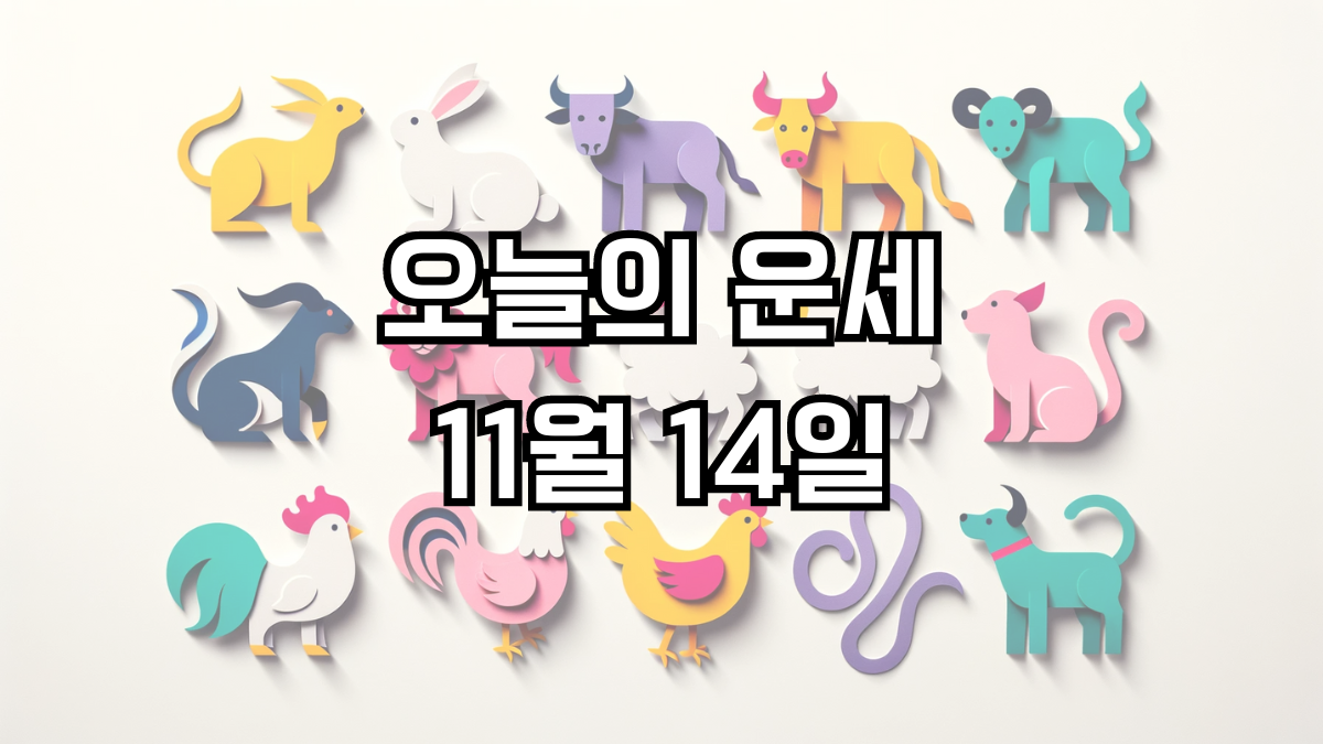 오늘의 운세 11월 14일