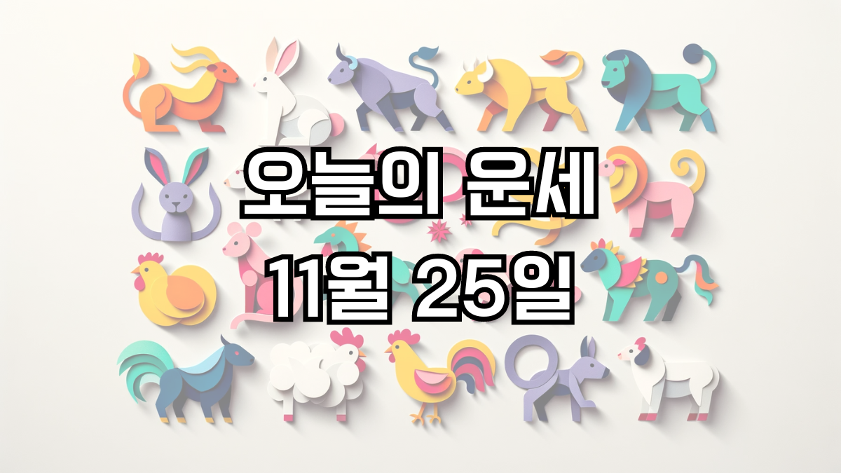 오늘의 운세 11월 25일