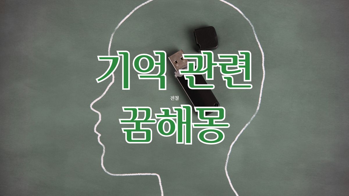 기억 관련 꿈해몽