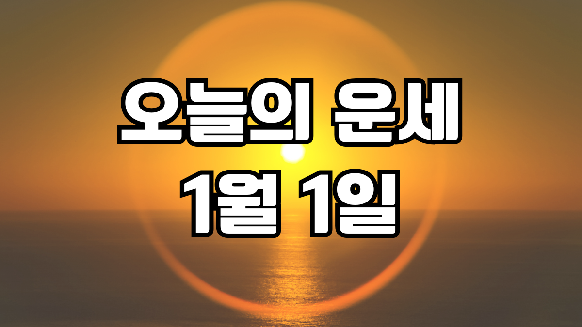 오늘의 운세 1월 1일