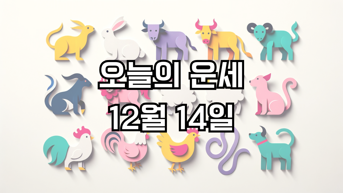 오늘의 운세 12월 14일