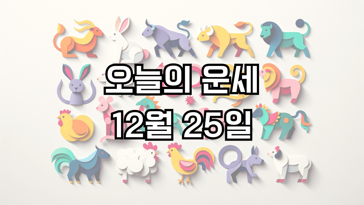 오늘의 운세 12월 25일