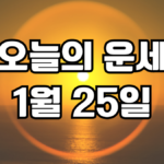 오늘의운세 1월 25일