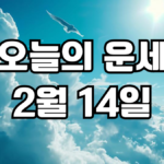 오늘의운세 2월 14일