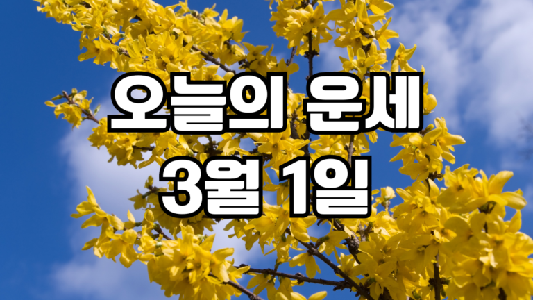 오늘의운세 3월 1일