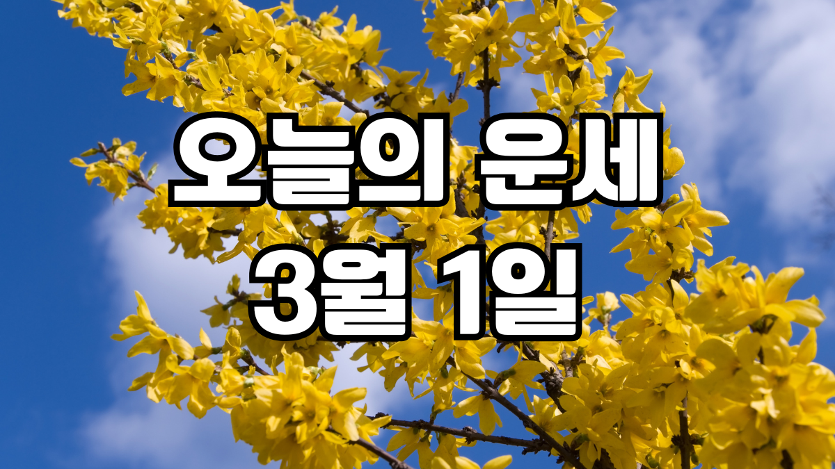 오늘의운세 3월 1일