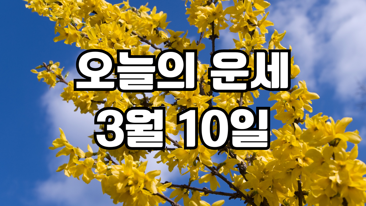 오늘의운세 3월 10일