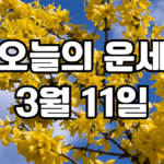 오늘의운세 3월 11일