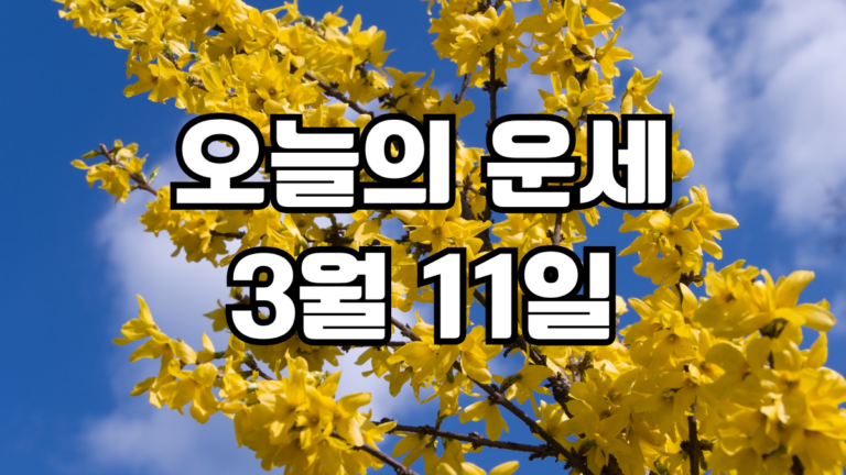 오늘의운세 3월 11일