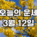 오늘의운세 3월 12일