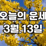 오늘의운세 3월 13일