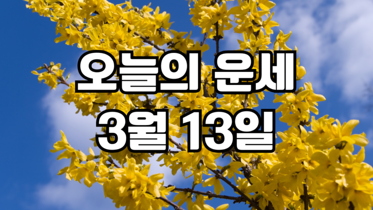 오늘의운세 3월 13일