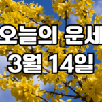 오늘의운세 3월 14일