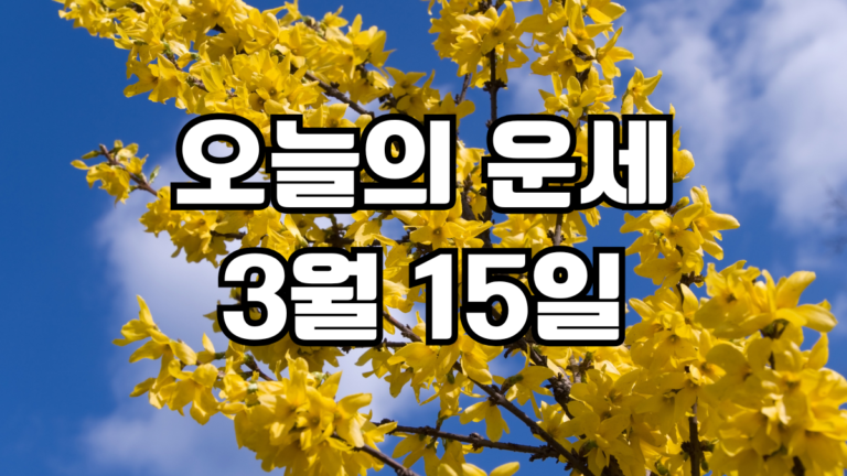 오늘의운세 3월 15일