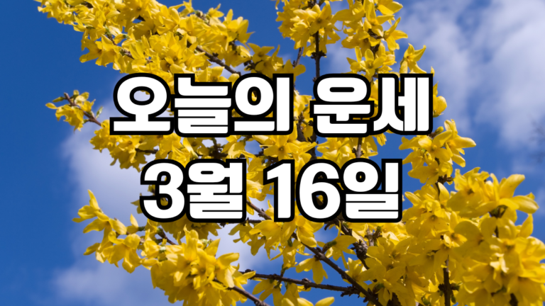 오늘의운세 3월 16일