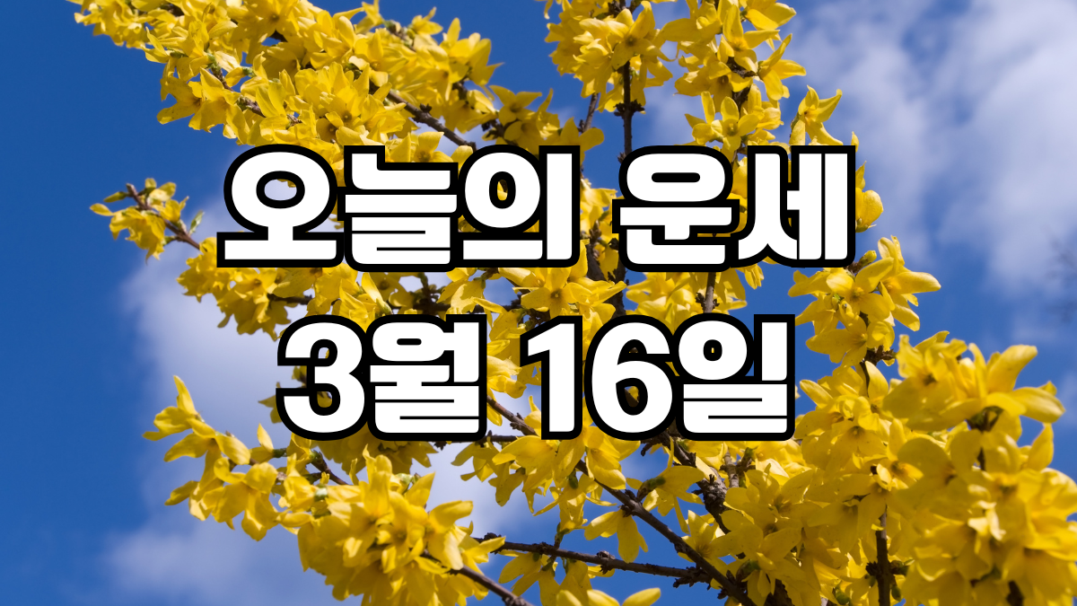 오늘의운세 3월 16일