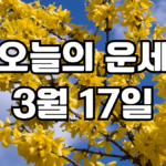 오늘의운세 3월 17일