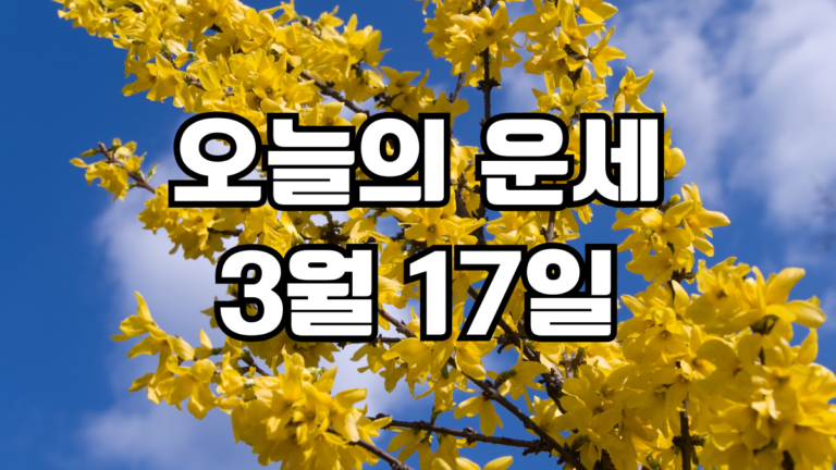 오늘의운세 3월 17일