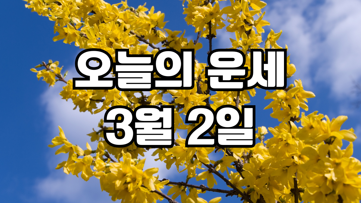 오늘의운세 3월 2일