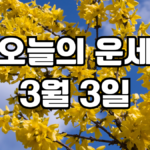 오늘의운세 3월 3일