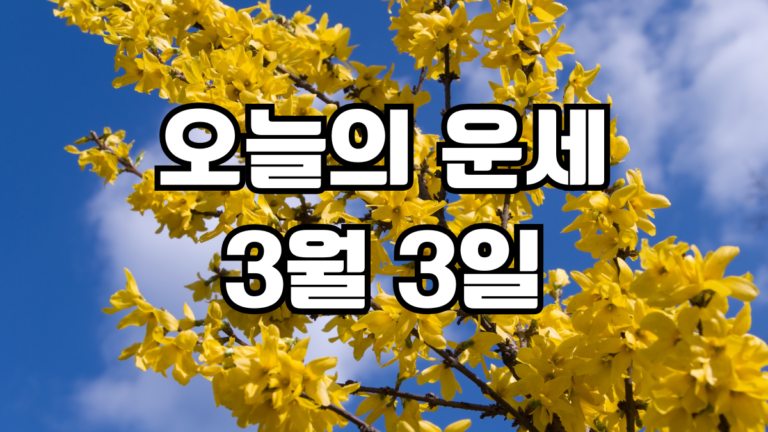 오늘의운세 3월 3일