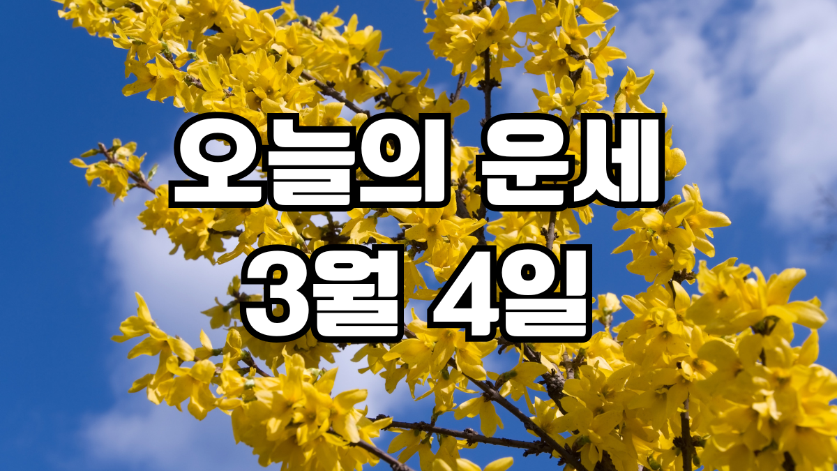 오늘의운세 3월 4일