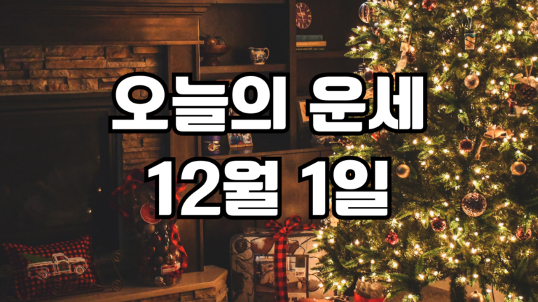 오늘의운세 12월 1일