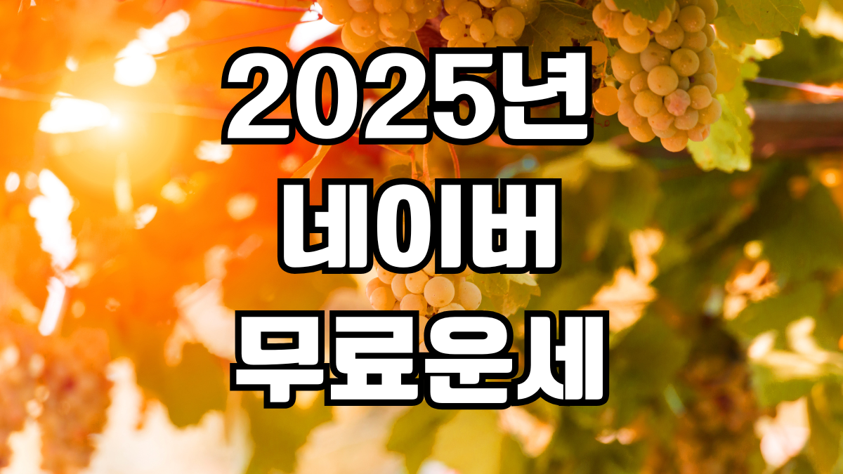 2025 네이버 무료운세