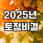 2025 토정비결