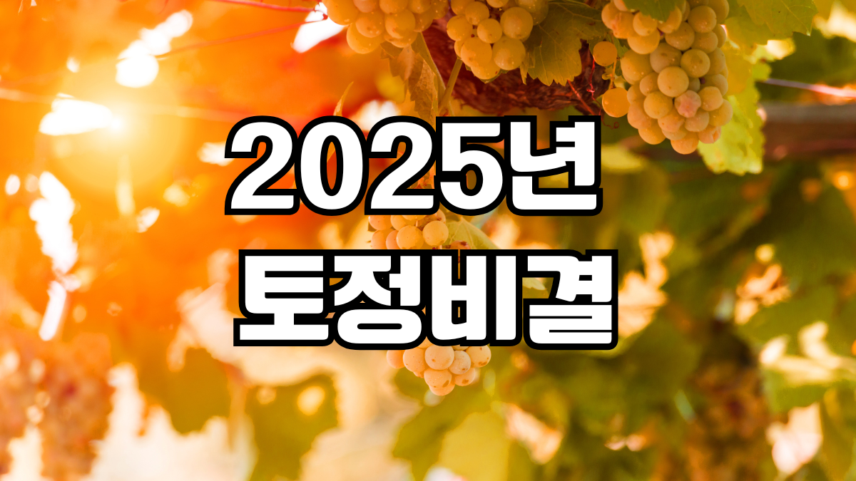 2025 토정비결