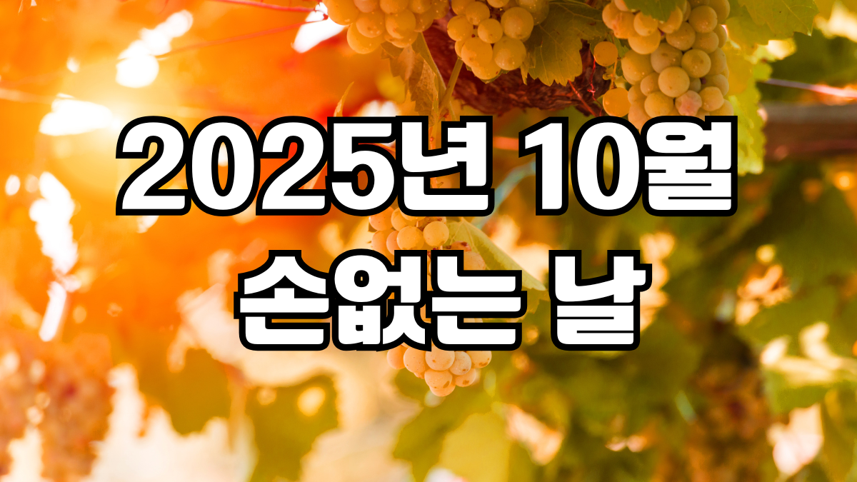 2025년 10월 손없는날