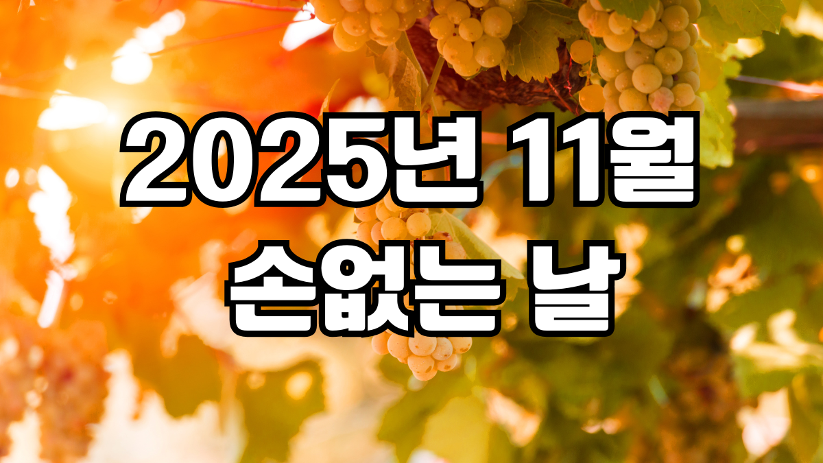 2025년 11월 손없는날