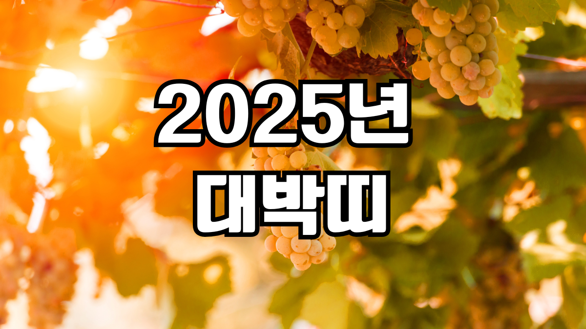 2025년 대박띠