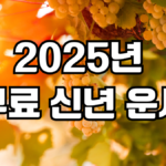 2025년 무료 신년운세