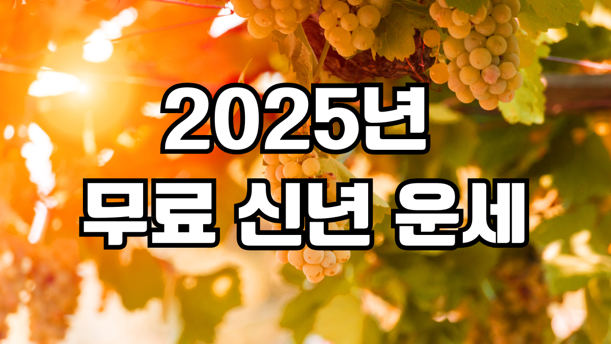 2025년 무료 신년운세