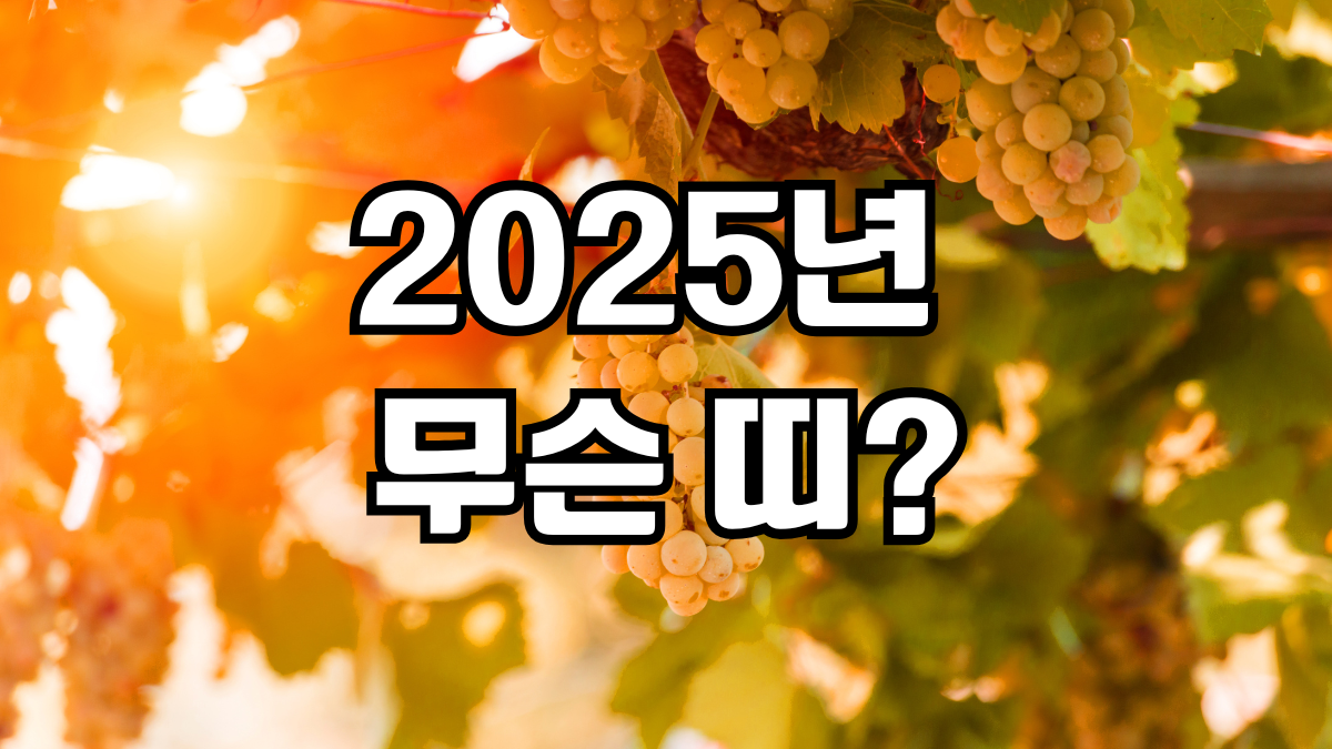 2025년 무슨띠