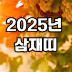 2025년 삼재띠