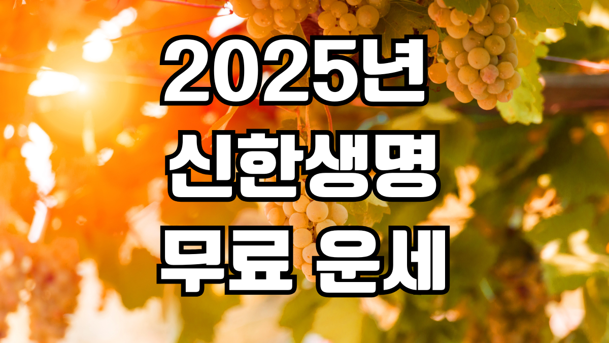 2025 신한생명 무료운세