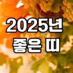 2025년 좋은띠